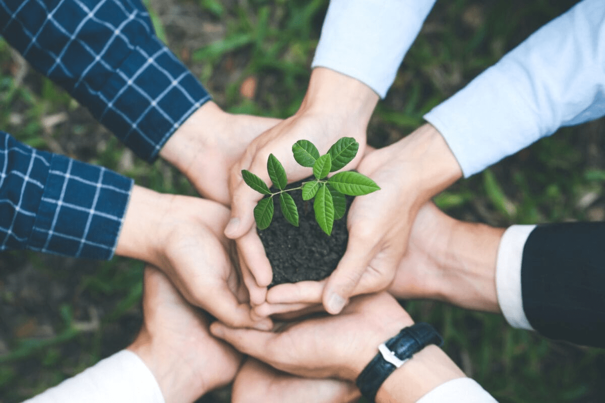 Our Commitment to Sustainability